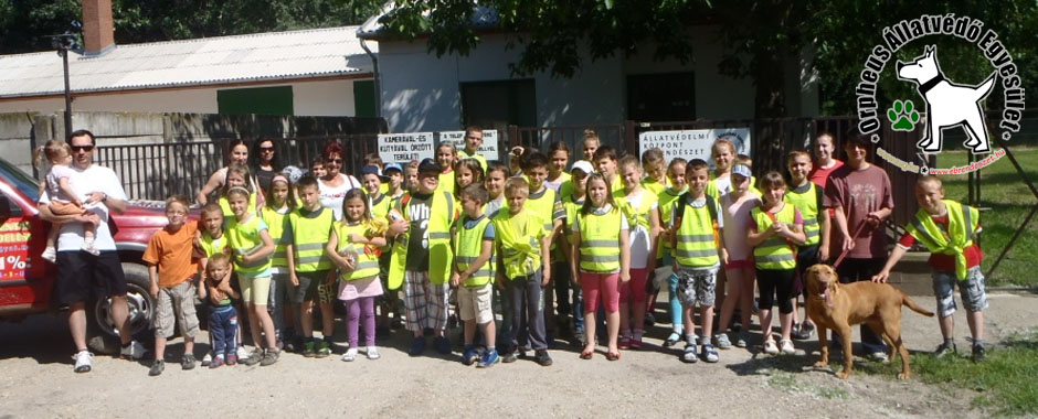 1% felajánlás kutyák, macskák kutya, macskák, állatmenhely, örökbefogadása, adóbevalláskor adó 1 százalék